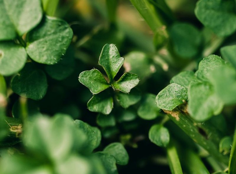  Thế giới giải trí số 