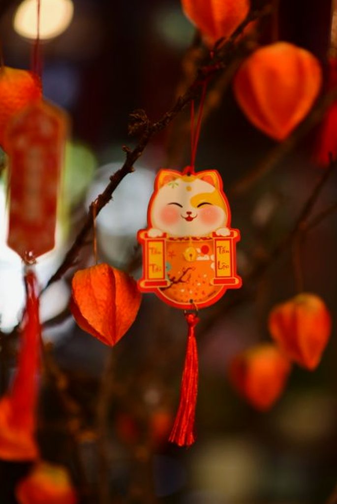 cách đọc biểu phí